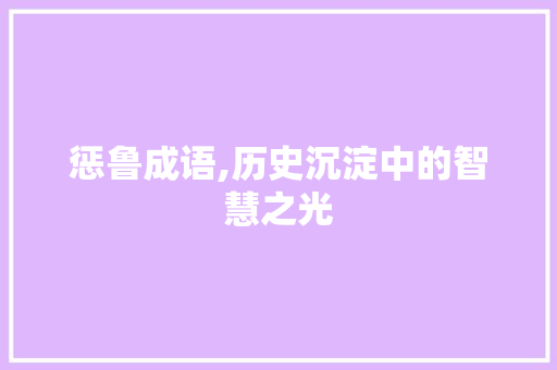 惩鲁成语,历史沉淀中的智慧之光