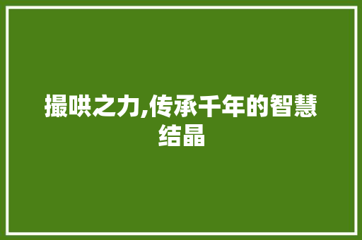 撮哄之力,传承千年的智慧结晶