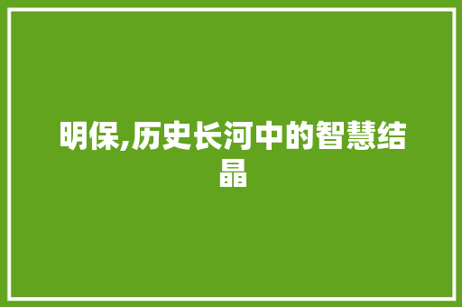 明保,历史长河中的智慧结晶
