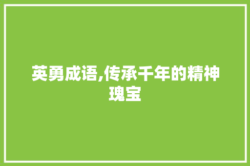 英勇成语,传承千年的精神瑰宝