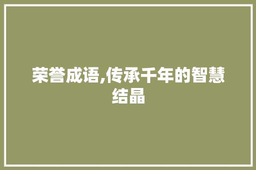 荣誉成语,传承千年的智慧结晶