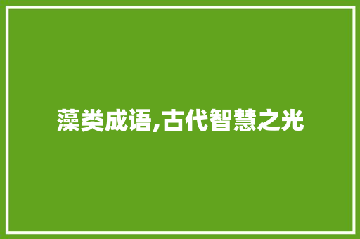 藻类成语,古代智慧之光