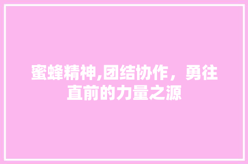 蜜蜂精神,团结协作，勇往直前的力量之源