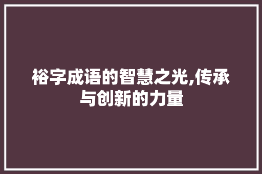 裕字成语的智慧之光,传承与创新的力量