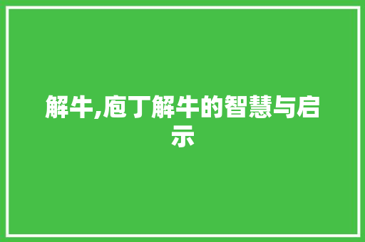 解牛,庖丁解牛的智慧与启示