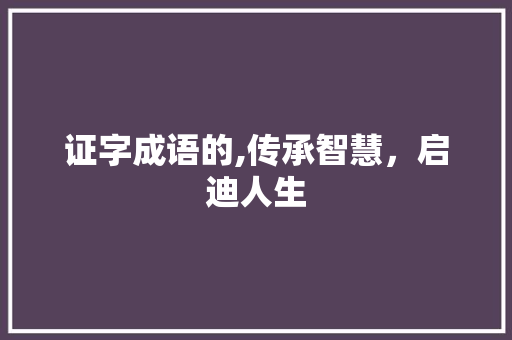 证字成语的,传承智慧，启迪人生