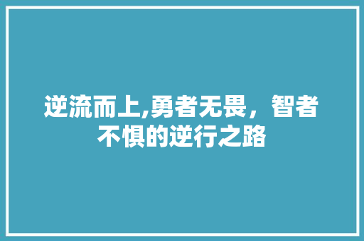 逆流而上,勇者无畏，智者不惧的逆行之路