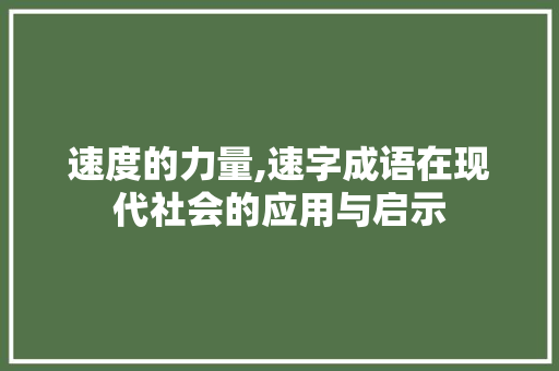 速度的力量,速字成语在现代社会的应用与启示