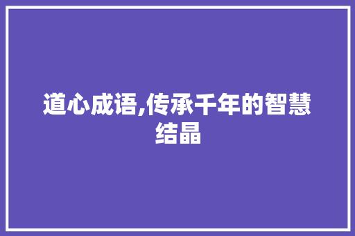 道心成语,传承千年的智慧结晶
