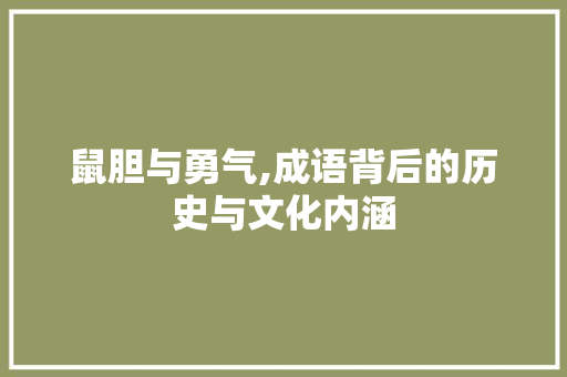 鼠胆与勇气,成语背后的历史与文化内涵
