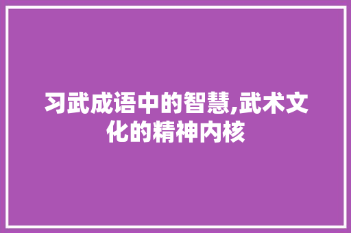 习武成语中的智慧,武术文化的精神内核