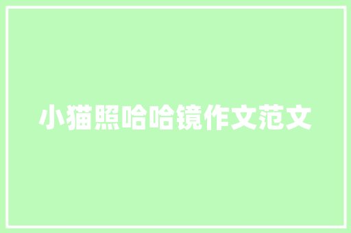 篮球操,一场运动与艺术的完美融合