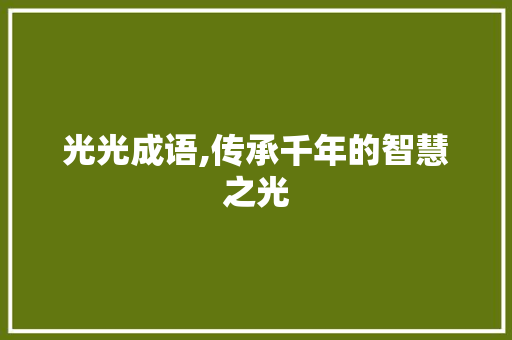 光光成语,传承千年的智慧之光