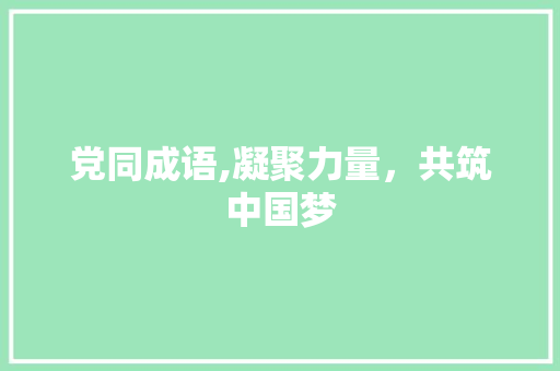 党同成语,凝聚力量，共筑中国梦