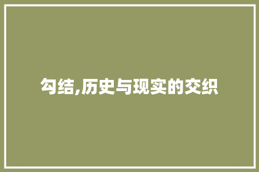 勾结,历史与现实的交织