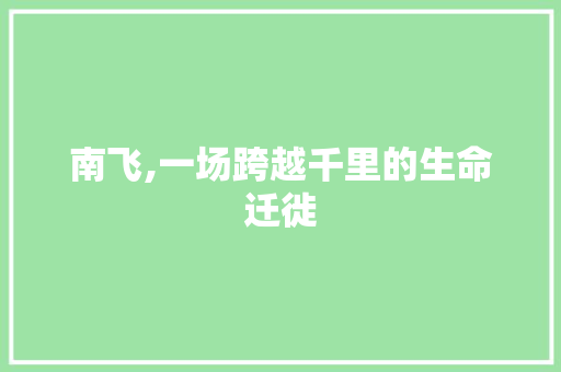 南飞,一场跨越千里的生命迁徙