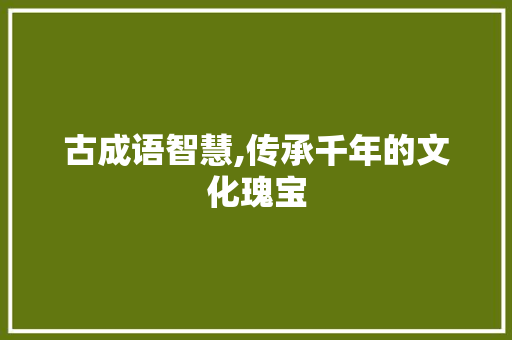 古成语智慧,传承千年的文化瑰宝 古代典籍