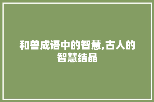 和兽成语中的智慧,古人的智慧结晶 近义词汇