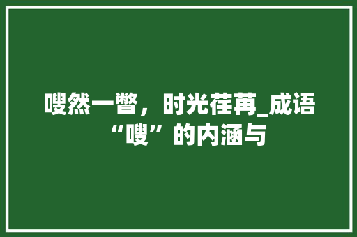 嗖然一瞥，时光荏苒_成语“嗖”的内涵与
