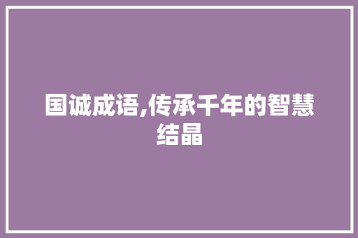 国诚成语,传承千年的智慧结晶