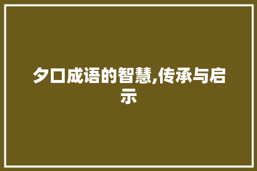 夕口成语的智慧,传承与启示