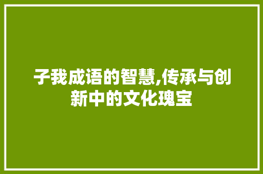 子我成语的智慧,传承与创新中的文化瑰宝 汉字拼音