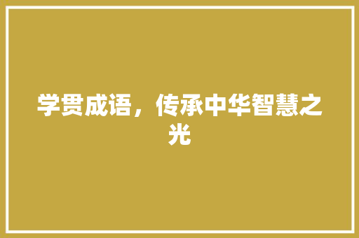 学贯成语，传承中华智慧之光