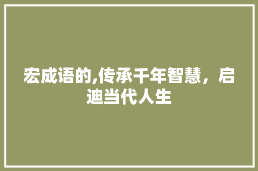 宏成语的,传承千年智慧，启迪当代人生