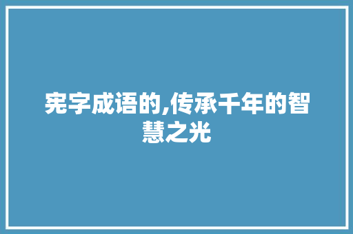 宪字成语的,传承千年的智慧之光