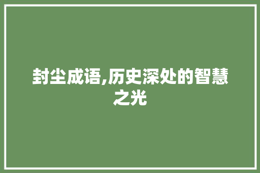 封尘成语,历史深处的智慧之光