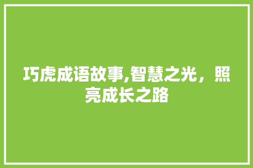 巧虎成语故事,智慧之光，照亮成长之路
