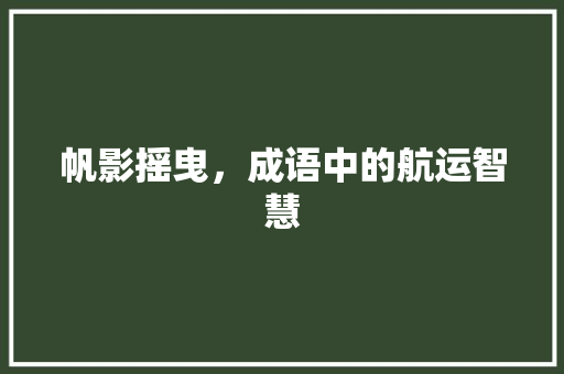 帆影摇曳，成语中的航运智慧