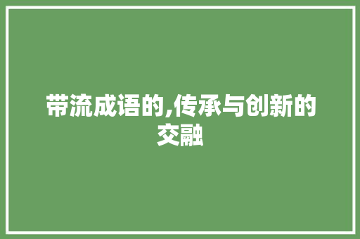 带流成语的,传承与创新的交融