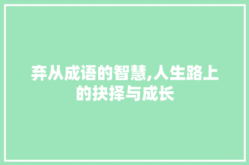 弃从成语的智慧,人生路上的抉择与成长