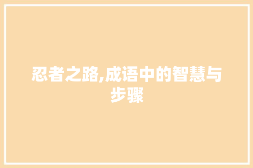 忍者之路,成语中的智慧与步骤