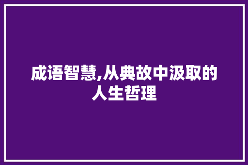 成语智慧,从典故中汲取的人生哲理 汉字拼音