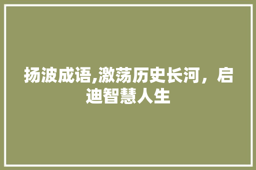 扬波成语,激荡历史长河，启迪智慧人生