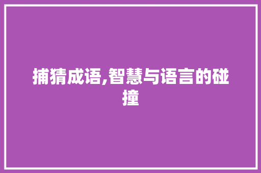 捕猜成语,智慧与语言的碰撞