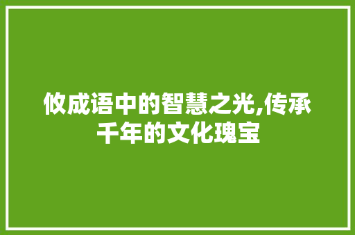 攸成语中的智慧之光,传承千年的文化瑰宝