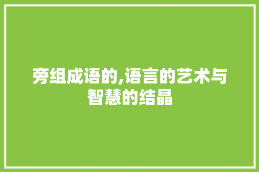 旁组成语的,语言的艺术与智慧的结晶 汉字拼音