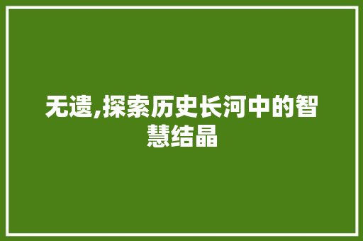 无遗,探索历史长河中的智慧结晶