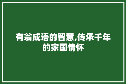 有翁成语的智慧,传承千年的家国情怀