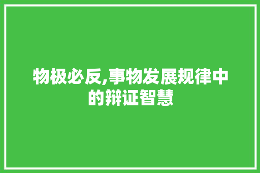物极必反,事物发展规律中的辩证智慧 汉字拼音