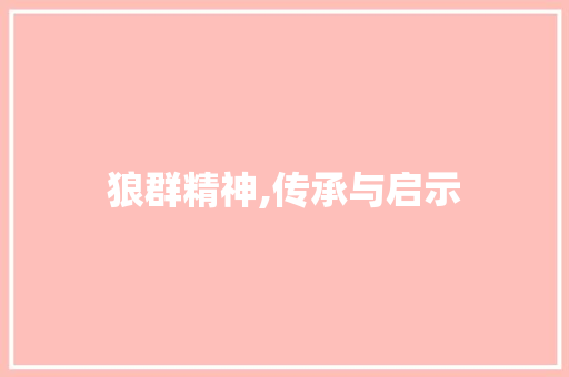 狼群精神,传承与启示