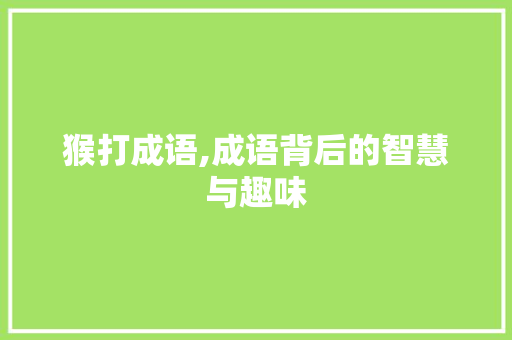 猴打成语,成语背后的智慧与趣味