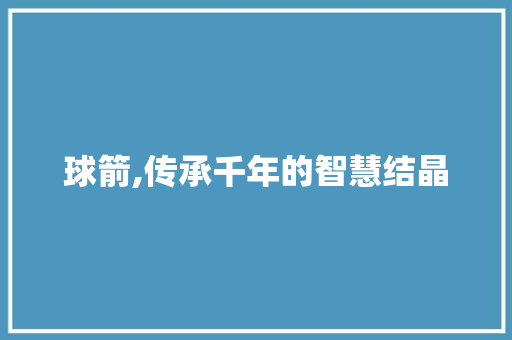 球箭,传承千年的智慧结晶