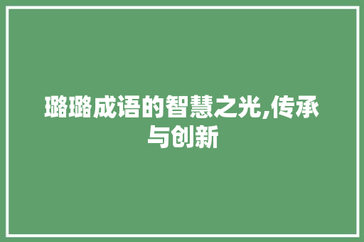 璐璐成语的智慧之光,传承与创新 问答