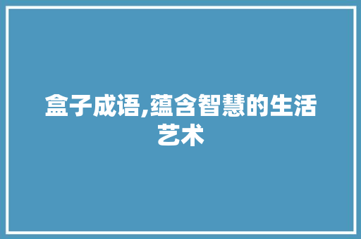 盒子成语,蕴含智慧的生活艺术