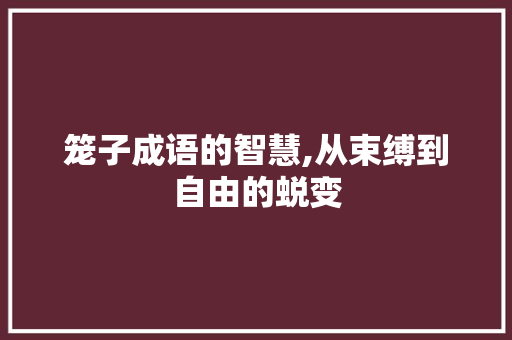笼子成语的智慧,从束缚到自由的蜕变