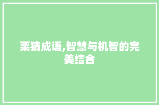 粟猜成语,智慧与机智的完美结合